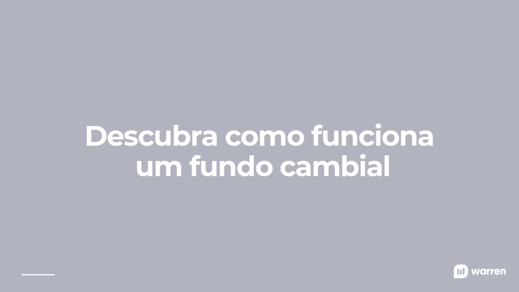 como funciona um fundo cambial, ilustração